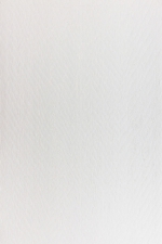 Ламинированная панель ПВХ Дерево белое (1166-048)